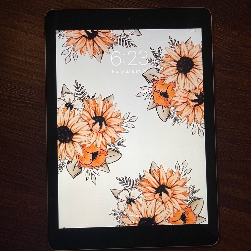 APPLE IPAD PRO 9.7